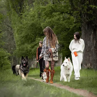 Psymbioza - szkolenie i behawioryzm psów